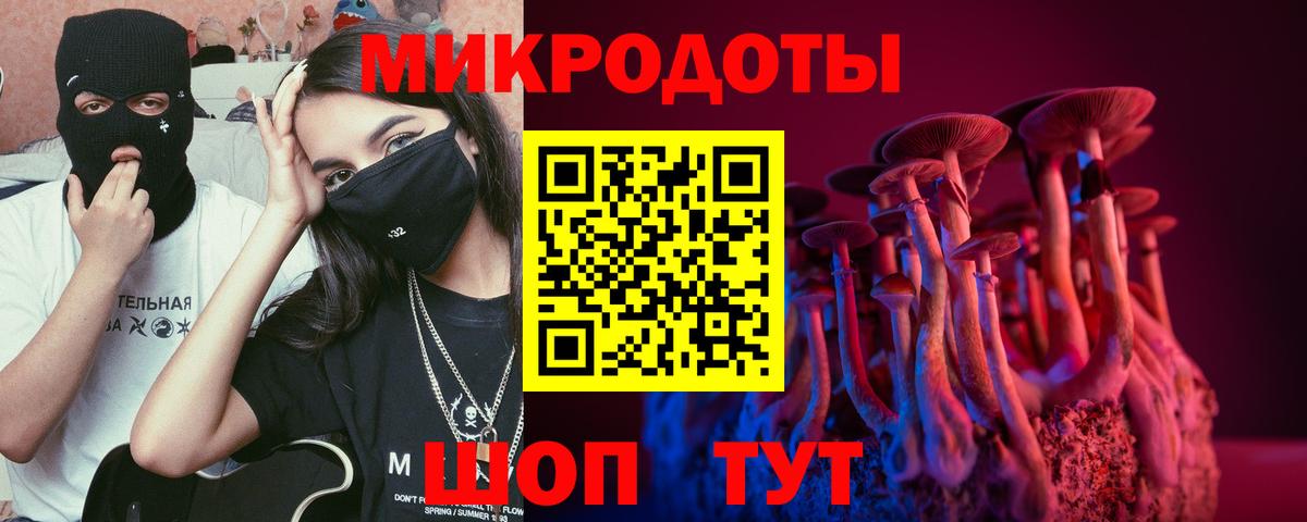 Псилоцибиновые грибы прущие грибы Чебоксары